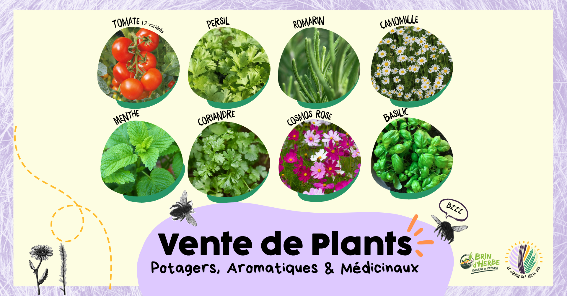 Photo d'illustration de l'événement : Vente de Plants #1
