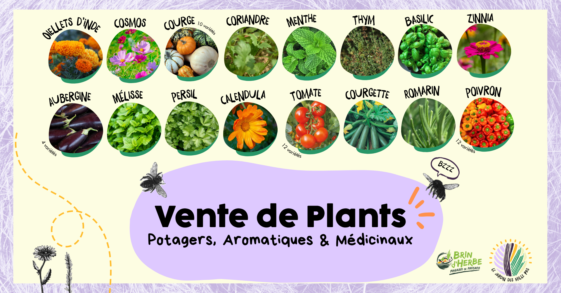Photo d'illustration de l'événement : Vente de Plants #4