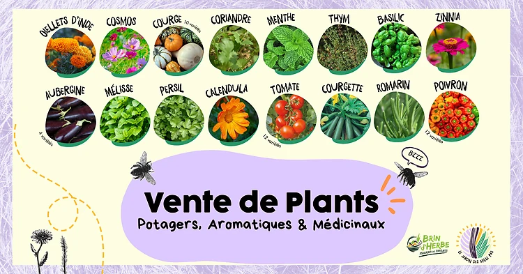 Photo d'illustration de l'événement : Vente de Plants #4
