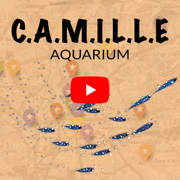 L'aquarium de Camille Saint-Saëns expliqué par Gildas Pungier