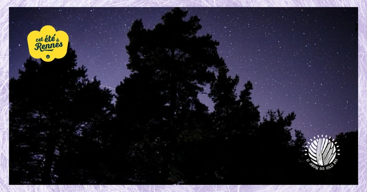 Photo d'illustration de l'événement : Balade enchantée au crépuscule | Balade