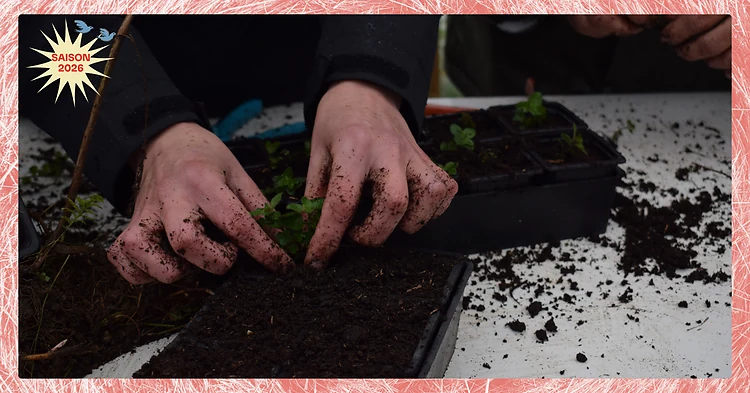 Photo d'illustration de l'événement : Fabrication de bombes de graines et semis de fleurs