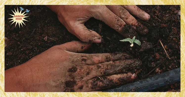 Photo d'illustration de l'événement : "Quelles semences demain pour une agriculture biologique résiliente face au changement climatique ?” | Conférence | Fête du Champ à l'Assiette #11