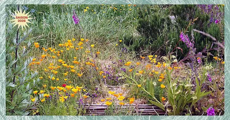 Photo d'illustration de l'événement : Balade des jardins comestibles de Cleunay et de la Prévalaye
