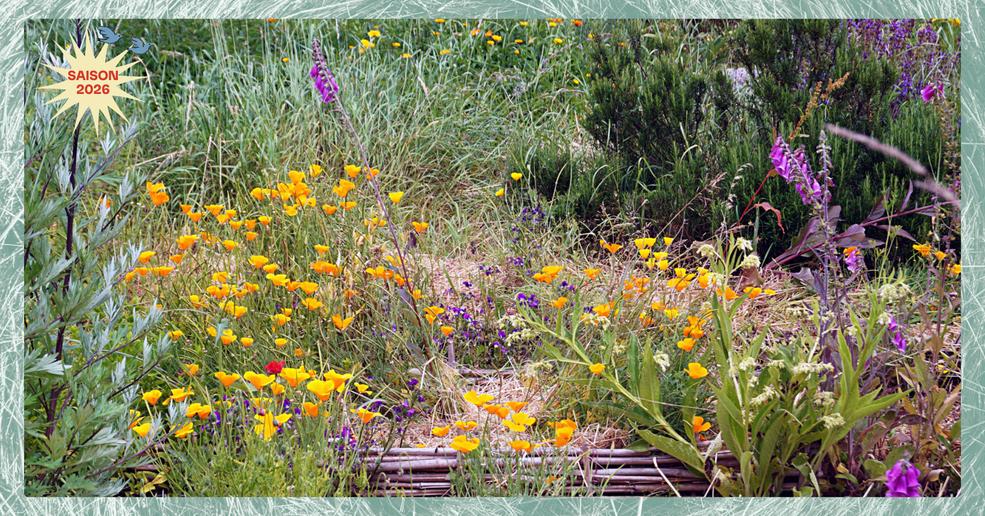 Photo principale de l'événement Balade des jardins comestibles de Cleunay et de la Prévalaye