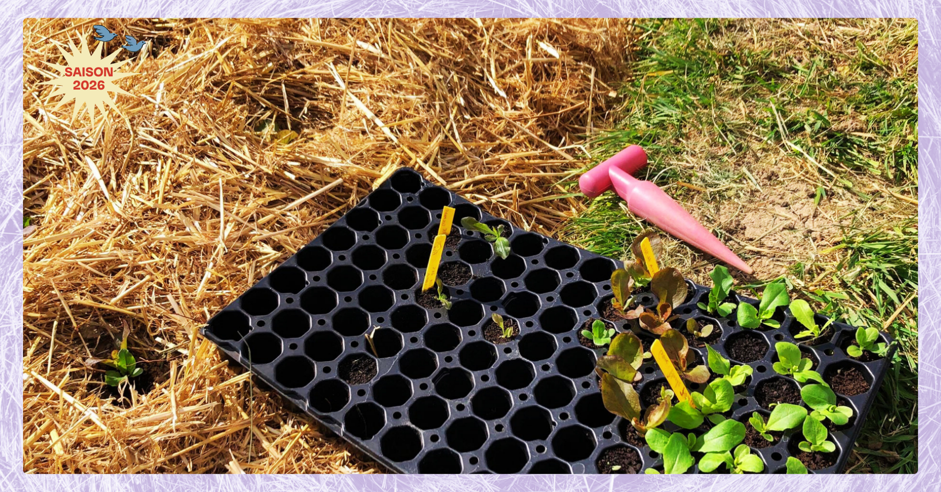 Photo d'illustration de l'événement : ATELIER JARDIN | Faire ses semis et plantations au potager