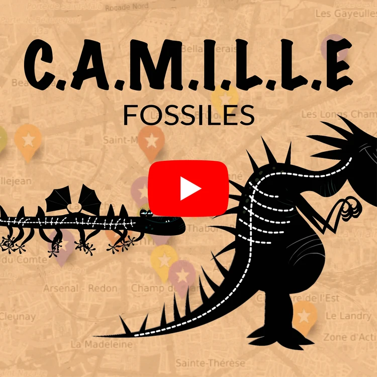 Les fossiles de Camille Saint-Saëns expliqués par Gildas Pungier