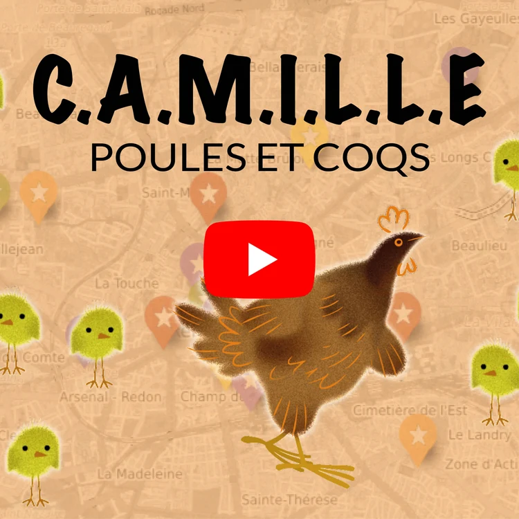 Les poules et coqs de Camille Saint-Saëns expliqués par Gildas Pungier