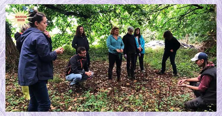 Photo d'illustration de l'événement : Stage 1 jour : Concevoir un jardin multi-étagé : le jardin-forêt