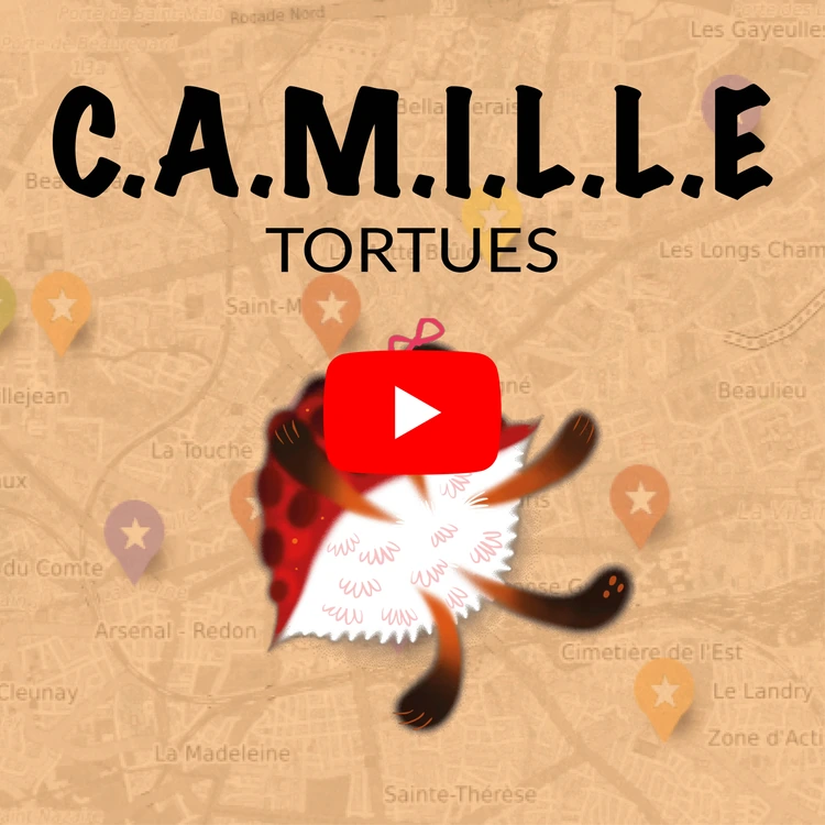 Les tortues de Camille Saint-Saëns expliquées par Gildas Pungier