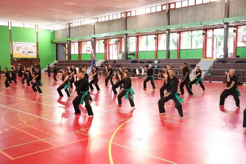Viet-vo-dao-Jeunes-Argentre