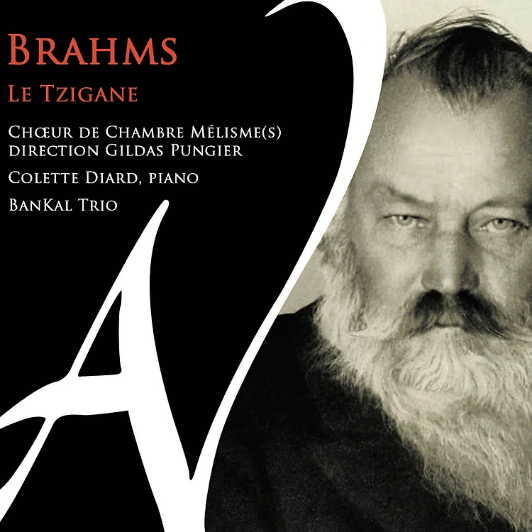 Brahms le Tzigane